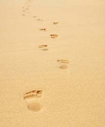 Similar image 875306