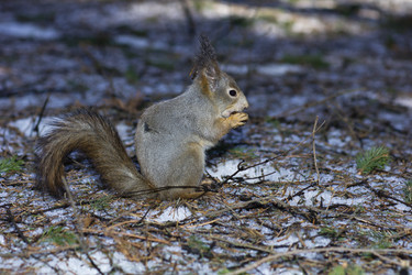 Similar image 875314