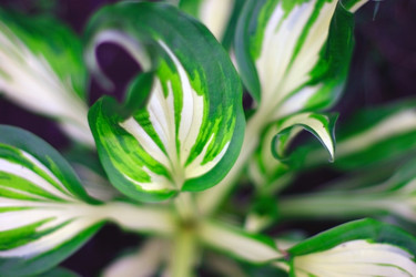 Similar image 875329