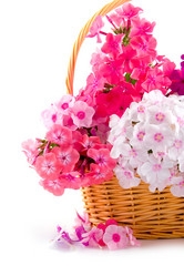 Similar image 875348