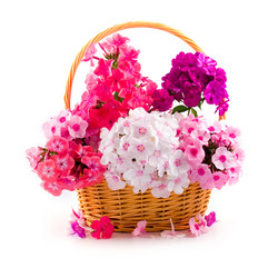 Similar image 875350