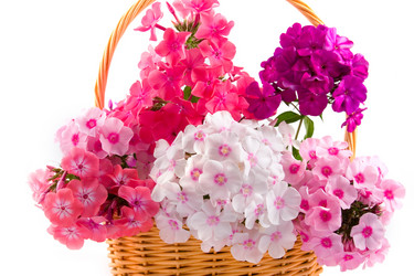 Similar image 875351