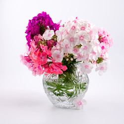 Similar image 875352