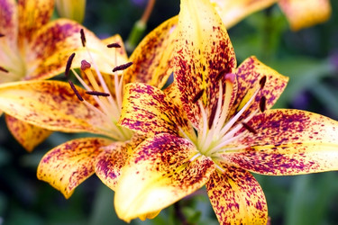 Similar image 875368