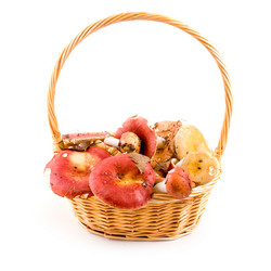 Similar image 875383