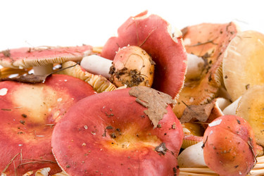 Similar image 875393