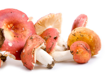 Similar image 875394