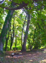 Similar image 875399