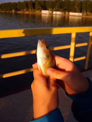 Similar image 875412