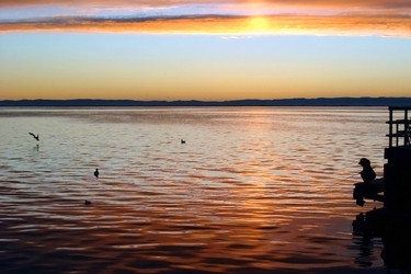 Similar image 875416