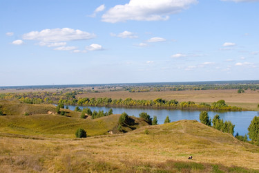 Similar image 875446