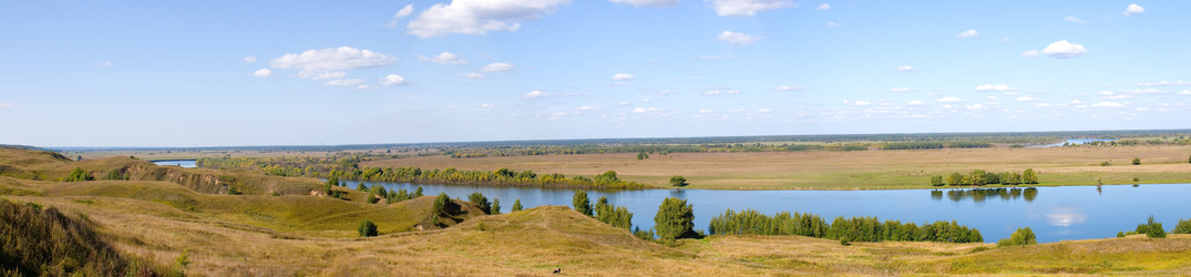 Similar image 875449