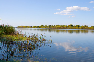 Similar image 875451