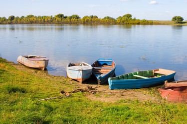 Similar image 875453