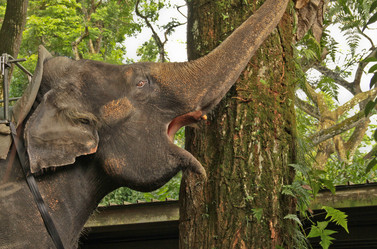 Similar image 875457