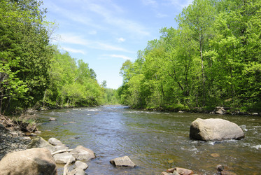 Similar image 875463