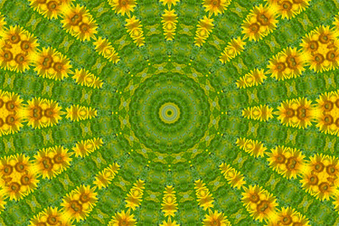 Similar image 875472