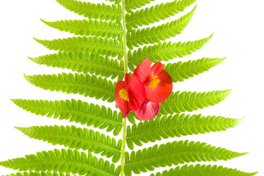 Similar image 875479