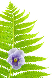 Similar image 875480