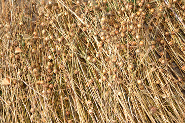 Similar image 875535