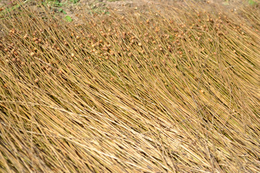 Similar image 875536