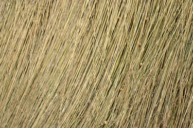 Similar image 875541