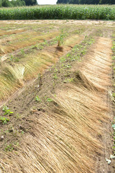 Similar image 875573