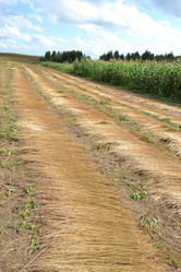 Similar image 875574