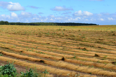 Similar image 875576