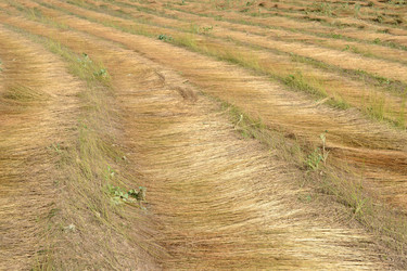 Similar image 875578