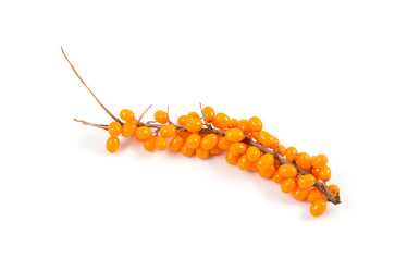 Similar image 875606