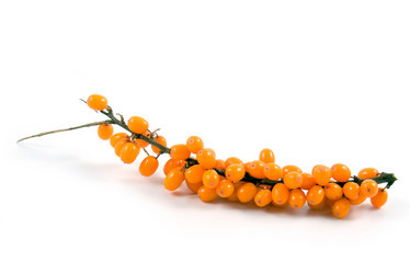 Similar image 875608