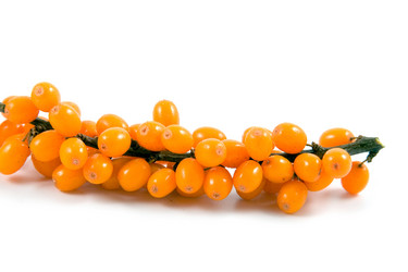 Similar image 875609