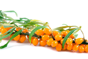 Similar image 875614