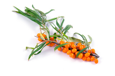 Similar image 875619