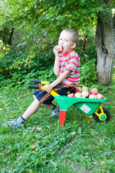 Similar image 875649