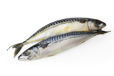 Similar image 875681