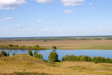 Similar image 875702