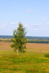 Similar image 875707