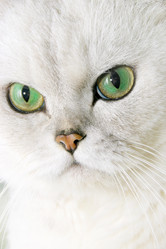 Similar image 875729