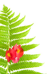 Similar image 875766