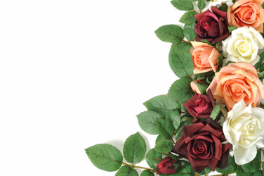 Similar image 875794