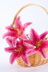 Similar image 875818