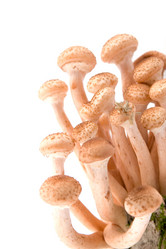 Similar image 875837