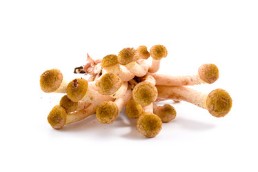 Similar image 875838