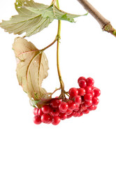 Similar image 875843