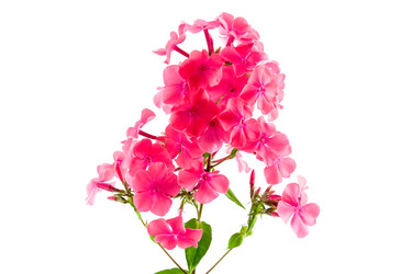 Similar image 875846