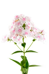 Similar image 875849