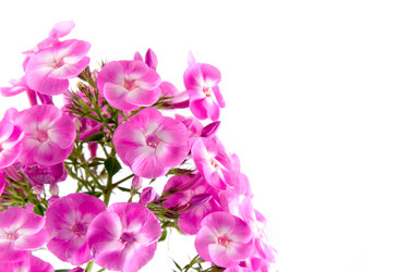 Similar image 875853