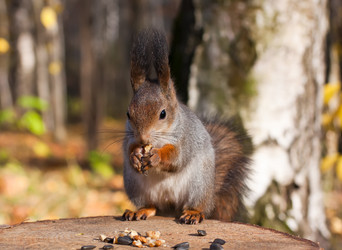 Similar image 875875